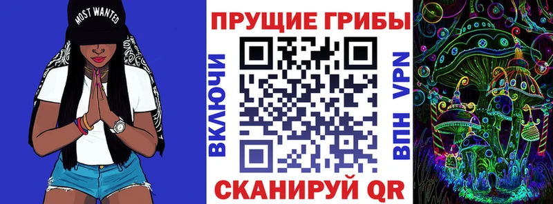 Псилоцибиновые грибы Cubensis  цена наркотик  Болхов 